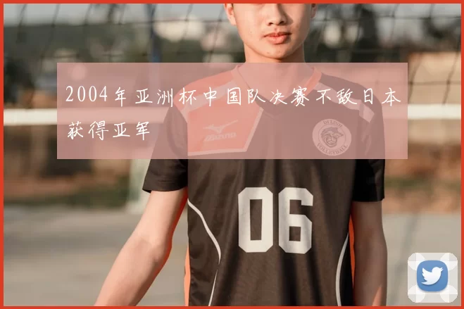 2004年亚洲杯中国队决赛不敌日本获得亚军